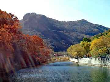 澳门二四六天天彩图库，完本都市小说